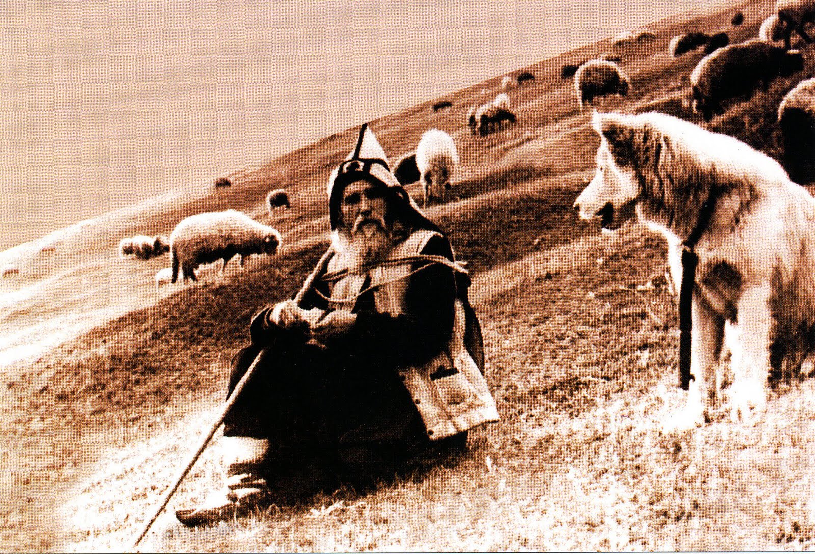 PărinteleIlie Cleopa cu oile la schitul Cozancea